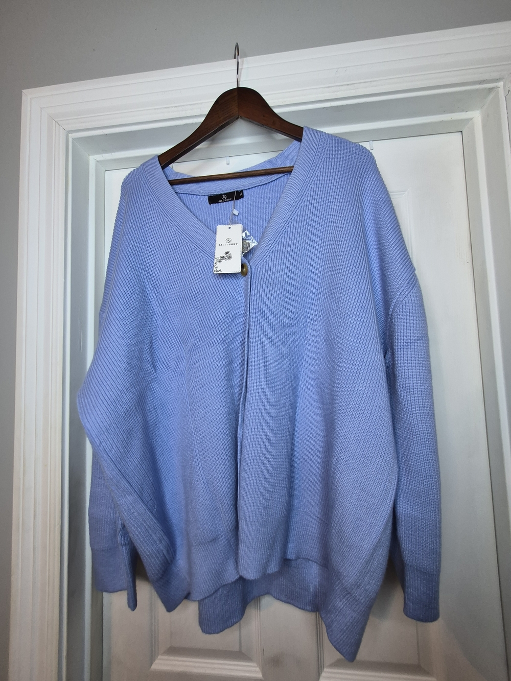 Lillusory Light Blue V-Neck Ribbed Knit Sweater XL NWT